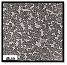 (Click for larger view!) particles obtained by polyaddition in miniemulsions